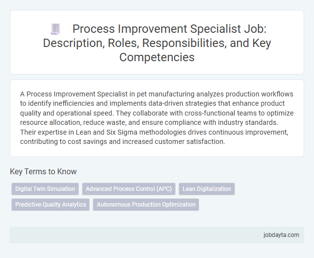 Process Improvement Specialist Job: Description, Roles, Responsibilities, and Key Competencies