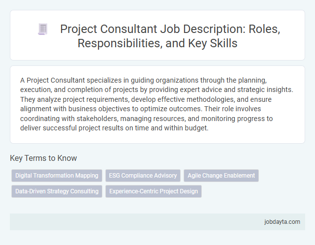Project Consultant Job Description: Roles, Responsibilities, and Key Skills