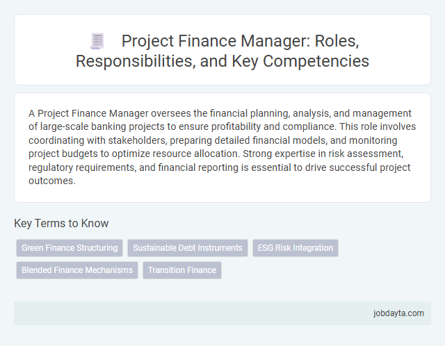 Project Finance Manager: Roles, Responsibilities, and Key Competencies