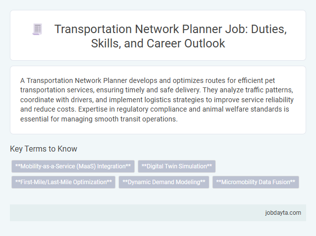 Transportation Network Planner Job: Duties, Skills, and Career Outlook