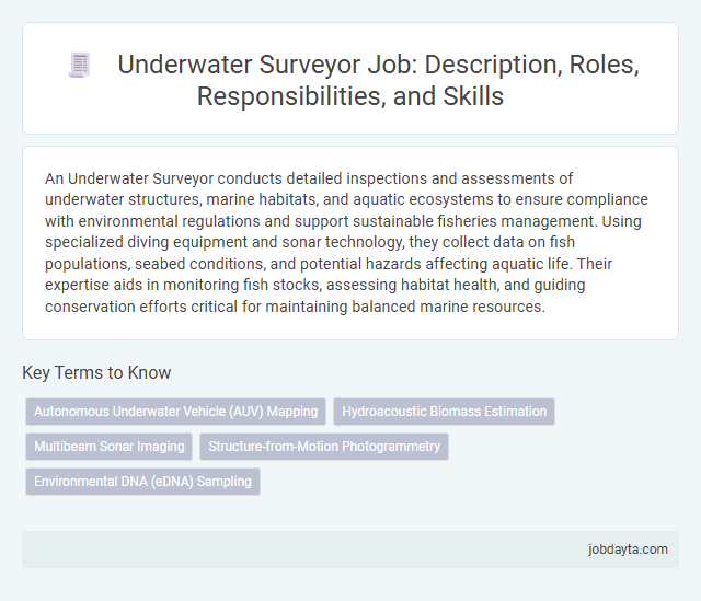 Underwater Surveyor Job: Description, Roles, Responsibilities, and Skills