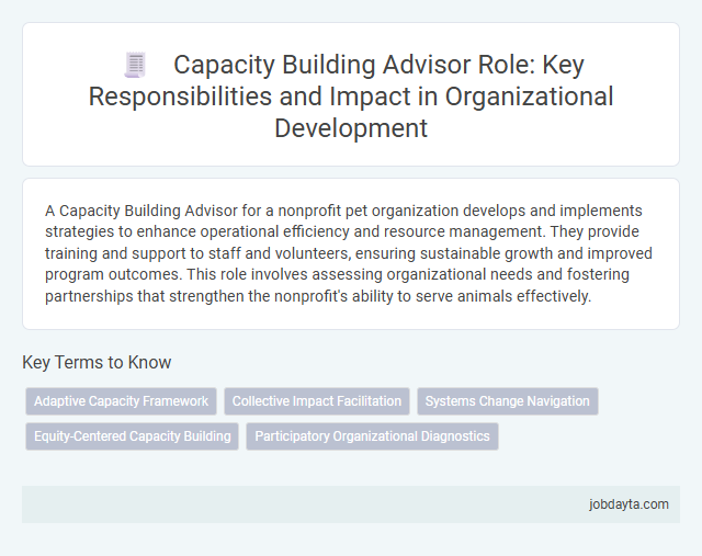 Capacity Building Advisor Role: Key Responsibilities and Impact in Organizational Development
