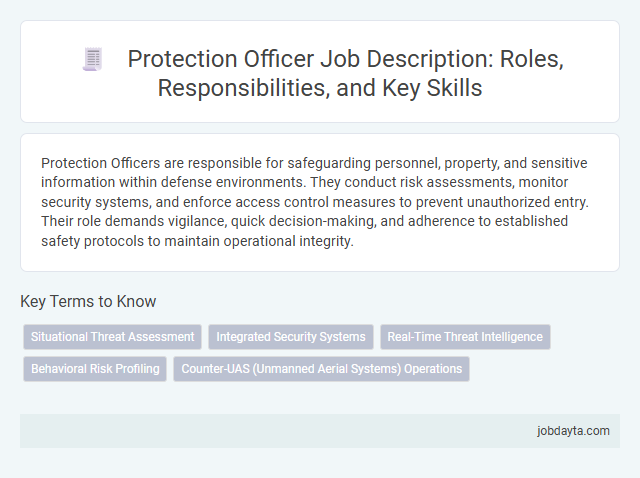 Protection Officer Job Description: Roles, Responsibilities, and Key Skills