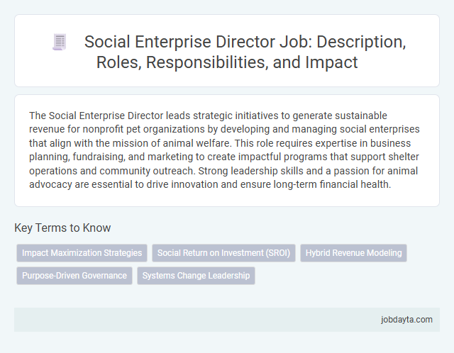 Social Enterprise Director Job: Description, Roles, Responsibilities, and Impact