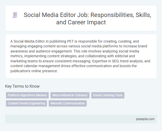 Social Media Editor Job: Responsibilities, Skills, and Career Impact