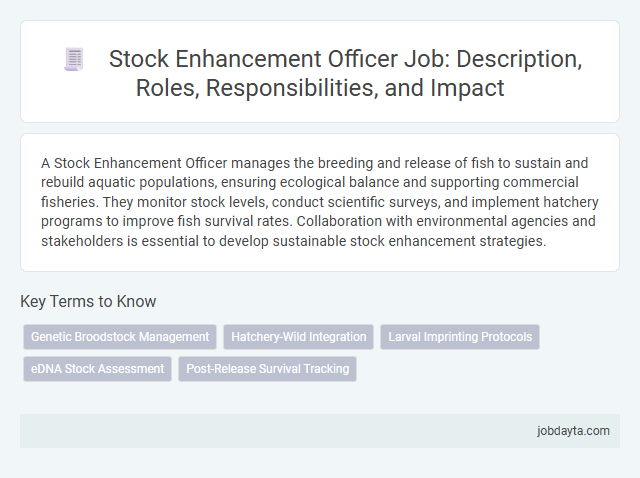 Stock Enhancement Officer Job: Description, Roles, Responsibilities, and Impact