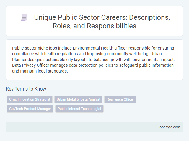 Unique Public Sector Careers: Descriptions, Roles, and Responsibilities