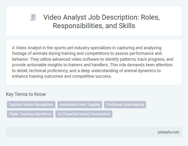 Video Analyst Job Description: Roles, Responsibilities, and Skills