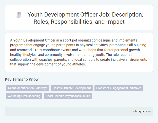 Youth Development Officer Job: Description, Roles, Responsibilities, and Impact