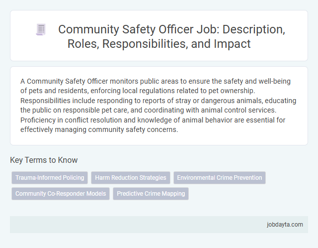 Community Safety Officer Job: Description, Roles, Responsibilities, and Impact