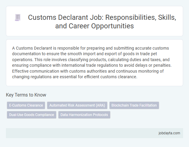 Customs Declarant Job: Responsibilities, Skills, and Career Opportunities