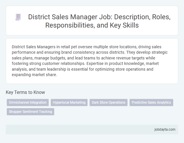 District Sales Manager Job: Description, Roles, Responsibilities, and Key Skills