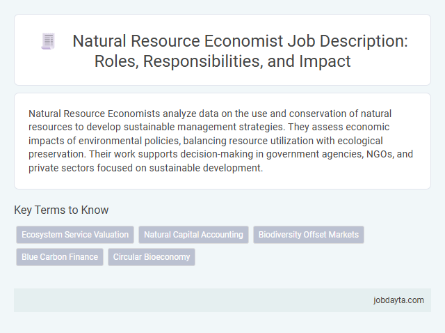 Natural Resource Economist Job Description: Roles, Responsibilities, and Impact