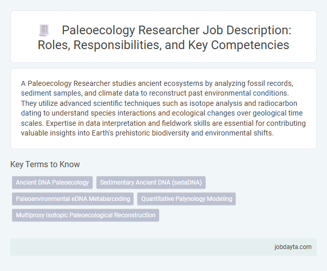 Paleoecology Researcher Job Description: Roles, Responsibilities, and Key Competencies