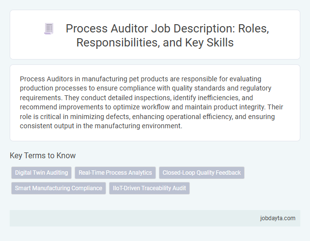 Process Auditor Job Description: Roles, Responsibilities, and Key Skills