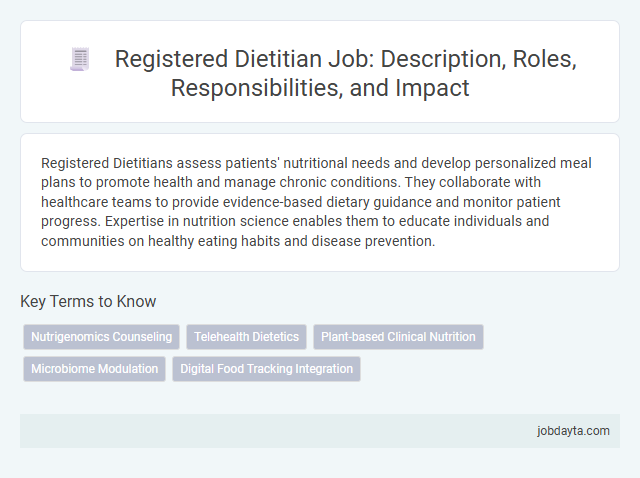Registered Dietitian Job: Description, Roles, Responsibilities, and Impact