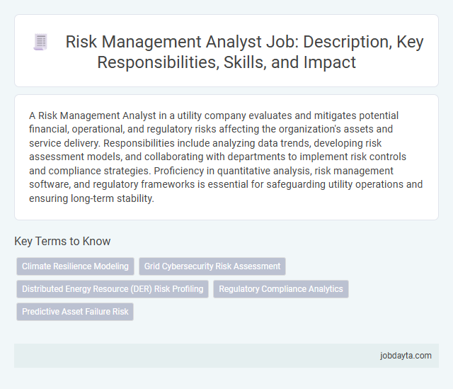 Risk Management Analyst Job: Description, Key Responsibilities, Skills, and Impact