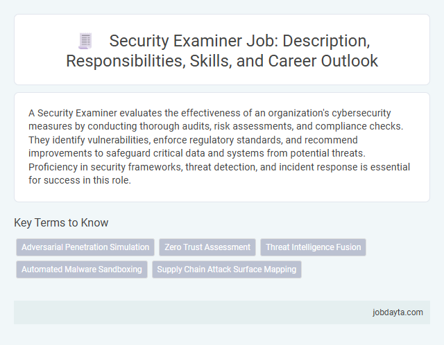 Security Examiner Job: Description, Responsibilities, Skills, and Career Outlook