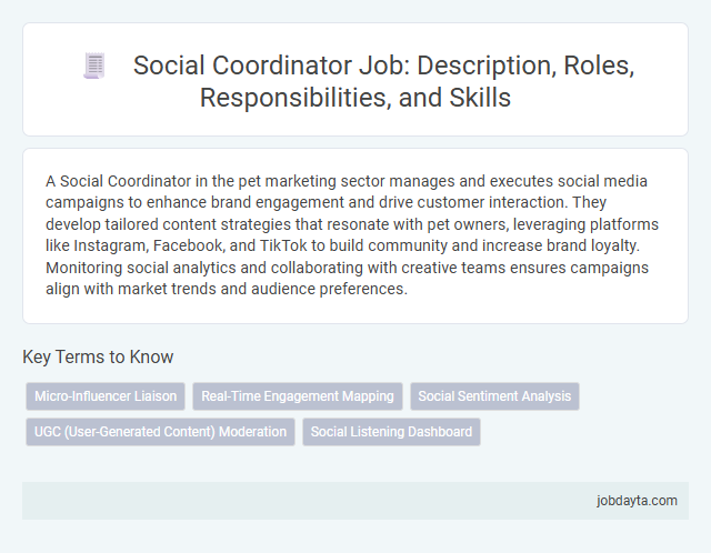Social Coordinator Job: Description, Roles, Responsibilities, and Skills