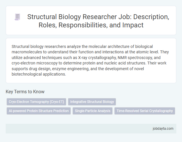 Structural Biology Researcher Job: Description, Roles, Responsibilities, and Impact