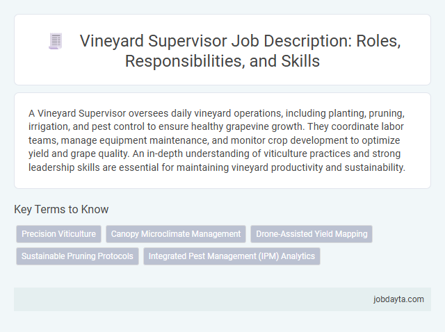 Vineyard Supervisor Job Description: Roles, Responsibilities, and Skills