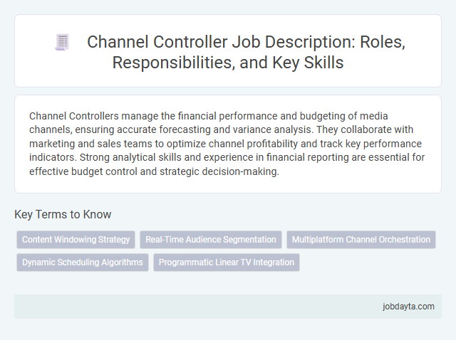 Channel Controller Job Description: Roles, Responsibilities, and Key Skills
