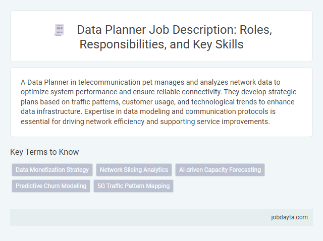 Data Planner Job Description: Roles, Responsibilities, and Key Skills