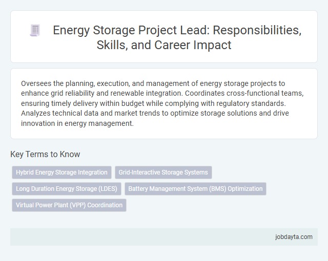 Energy Storage Project Lead: Responsibilities, Skills, and Career Impact