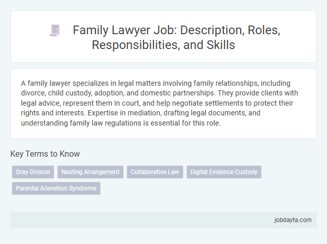Family Lawyer Job: Description, Roles, Responsibilities, and Skills
