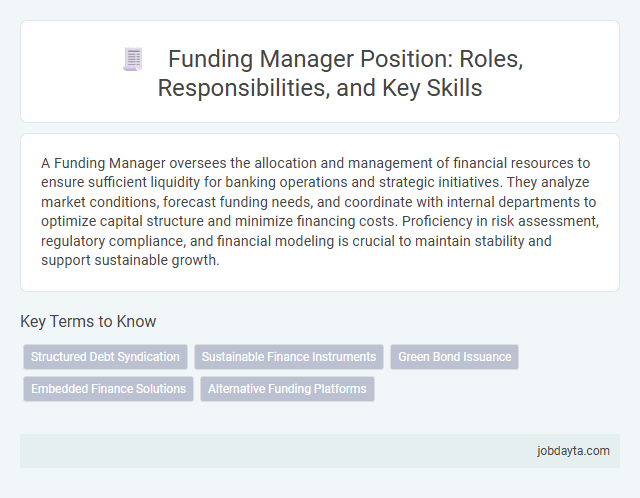Funding Manager Position: Roles, Responsibilities, and Key Skills