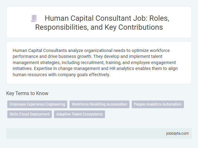 Human Capital Consultant Job: Roles, Responsibilities, and Key Contributions