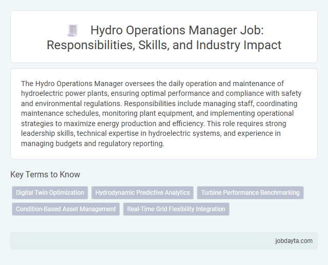 Hydro Operations Manager Job: Responsibilities, Skills, and Industry Impact