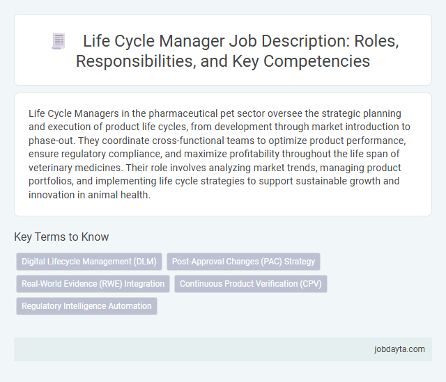 Life Cycle Manager Job Description: Roles, Responsibilities, and Key Competencies