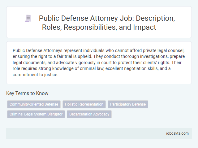 Public Defense Attorney Job: Description, Roles, Responsibilities, and Impact
