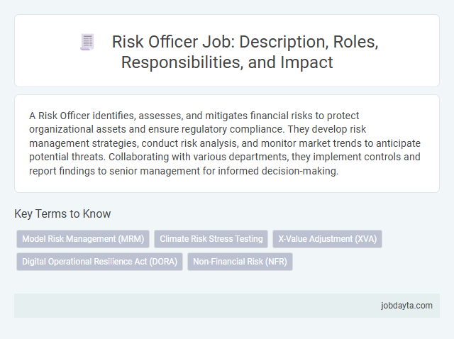 Risk Officer Job: Description, Roles, Responsibilities, and Impact