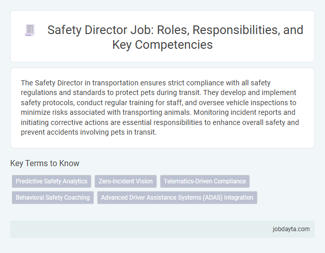 Safety Director Job: Roles, Responsibilities, and Key Competencies