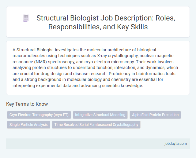 Structural Biologist Job Description: Roles, Responsibilities, and Key Skills