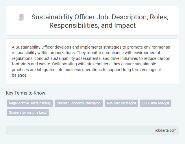 Sustainability Officer Job: Description, Roles, Responsibilities, and Impact